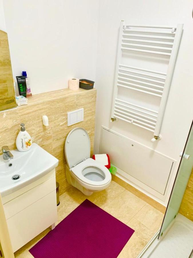 Big & Cosy Apartment With 3 Double Beds & 2 Bathrooms Iasi Exteriör bild